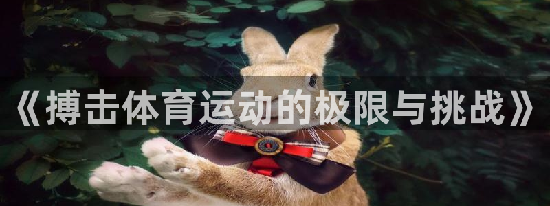 中欧MDP班是什么班