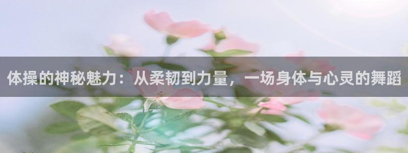 中欧ee学费