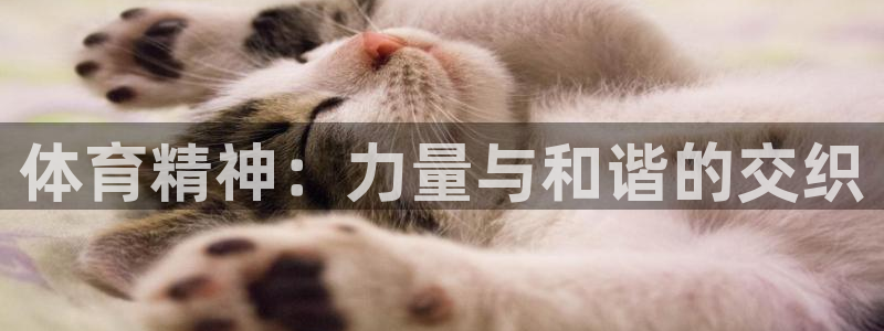 中欧欧有哪些国家：体育精神：力量与和谐的交织