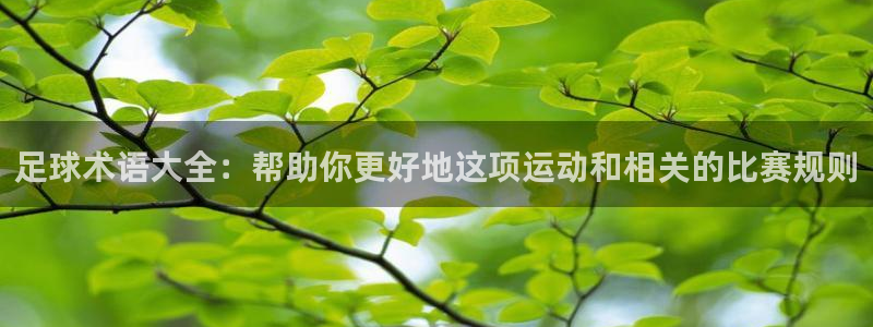 中欧欧洲法国际组织后备人才培养项目：足球术语大全：帮助你更好地这项运动和相关的比赛规则