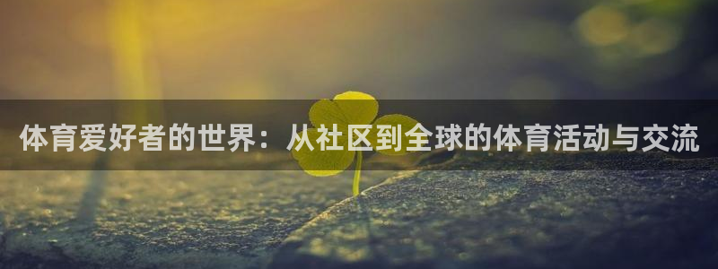 中欧cfo课程 学费：体育爱好者的世界：从社区到全球的体育活动与交流