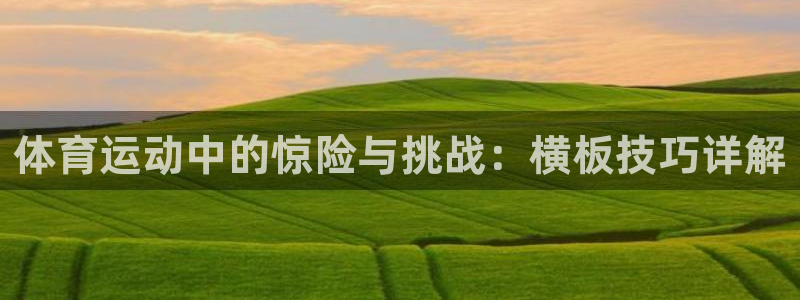 中欧医疗创新股票a：体育运动中的惊险与挑战：横板技巧详解