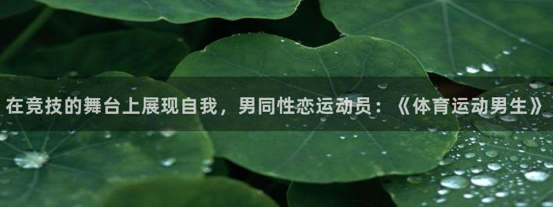 中欧投资协定