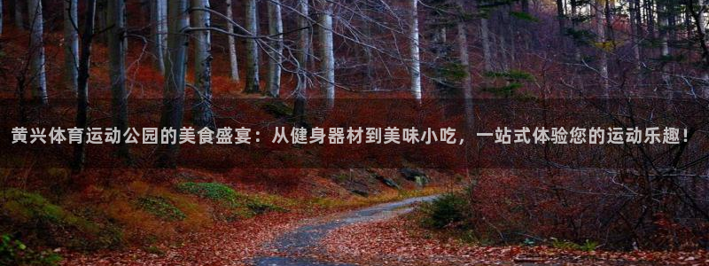 中欧鼎利债券c怎么样